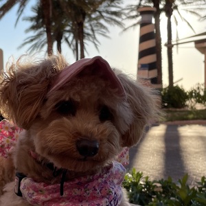 Fundraising Page: Cookie Yertzell